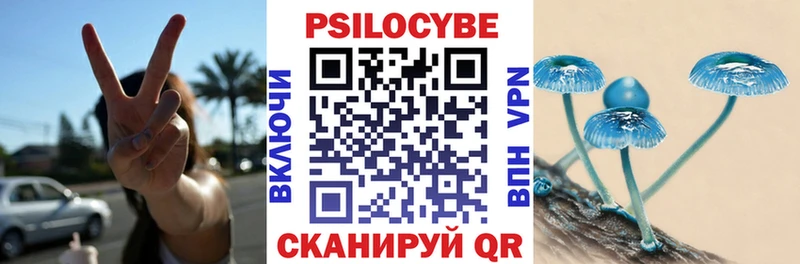 Купить закладки  Подольск  Галлюциногенные грибы мухоморы 